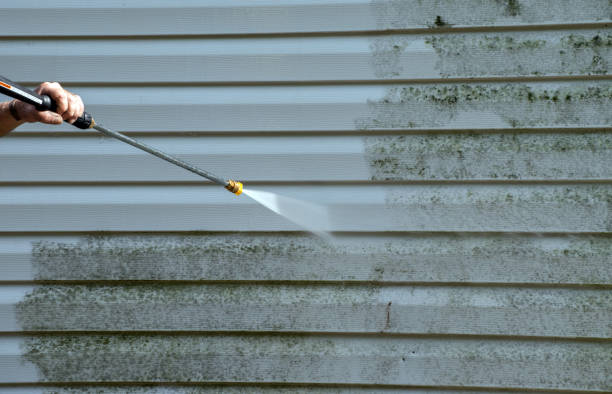 Best Mold Remediation for Specific Building Types in Smithfield, VA